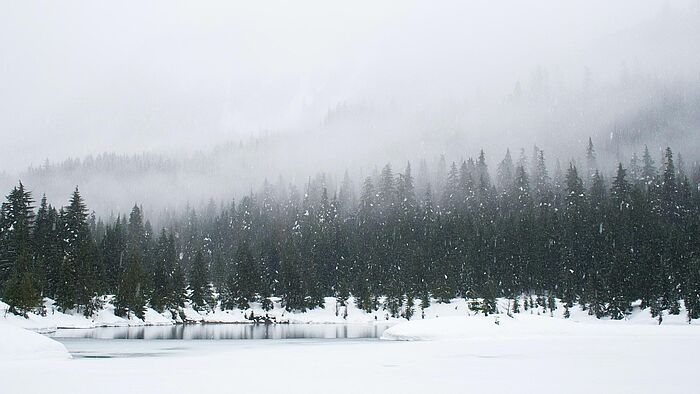 Zeit für die Winter(ein)lagerung - im Lagerraum?