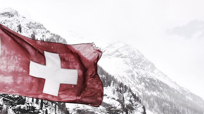 Wie organisieren Sie Ihren Umzug in die Schweiz?