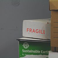 Umziehen mit Pappkartons oder Plastikboxen